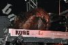 Blackguard10.gif