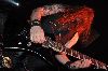 Blackguard2.gif