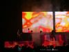 DSC02623.jpg
