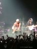 DSC02641.jpg