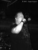 DSC06286.jpg